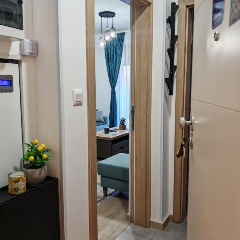 Apartman Amber Vrnjačka Banja - One-Bedroom Apartment - 9