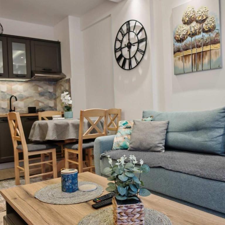 Apartman Amber Vrnjačka Banja - One-Bedroom Apartment - 8