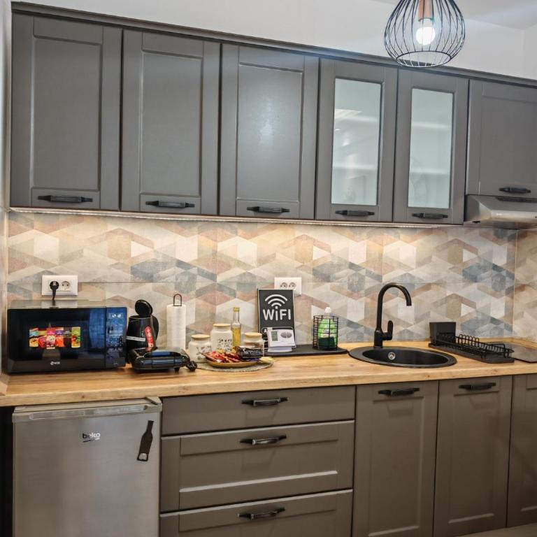 Apartman Amber Vrnjačka Banja - One-Bedroom Apartment - 6
