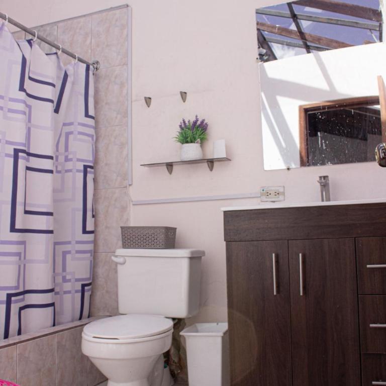 Apartamento en tercer piso con 2 habitaciones y terraza - Apartamento de 1 dormitorio - 15
