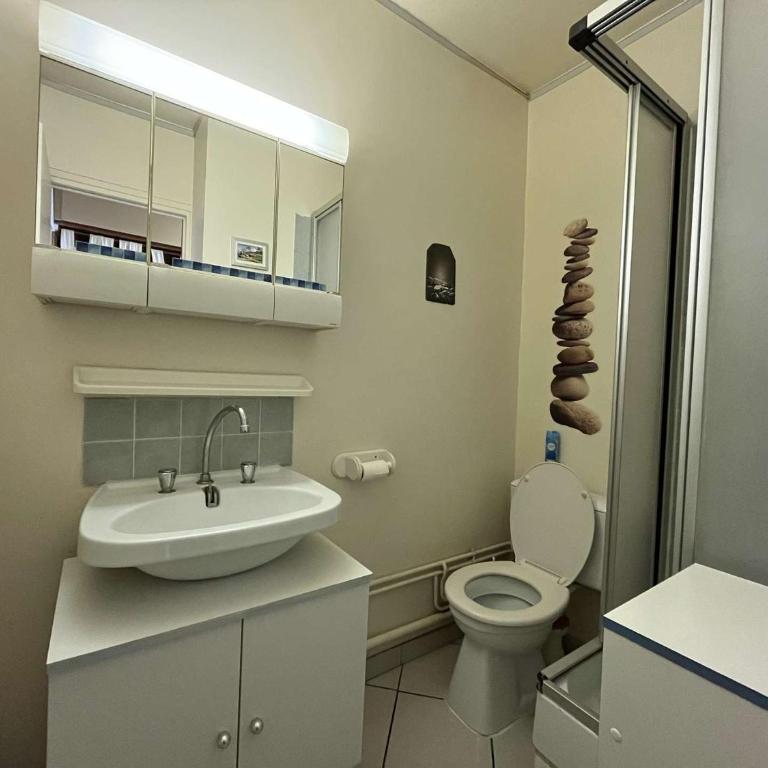 Studio 4 personnes au pied des pistes, WiFi gratuit - FR-1-525-309 - Appartamento - 10