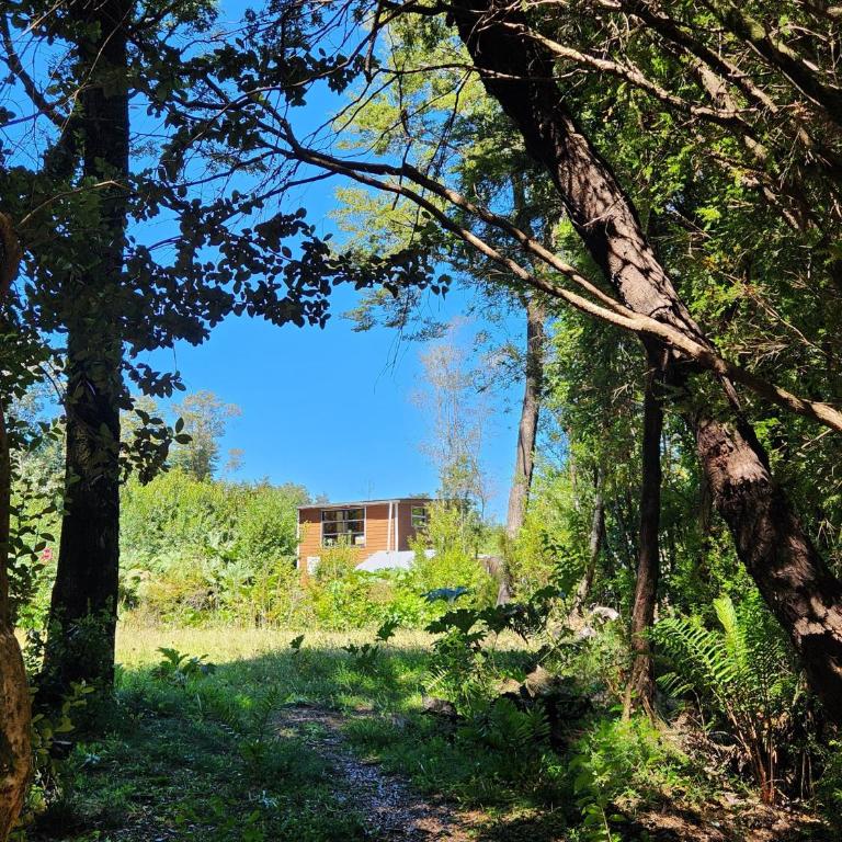 Cabaña de Iza, Sector Ensenada, Puerto Varas - Two-Bedroom Chalet - 42