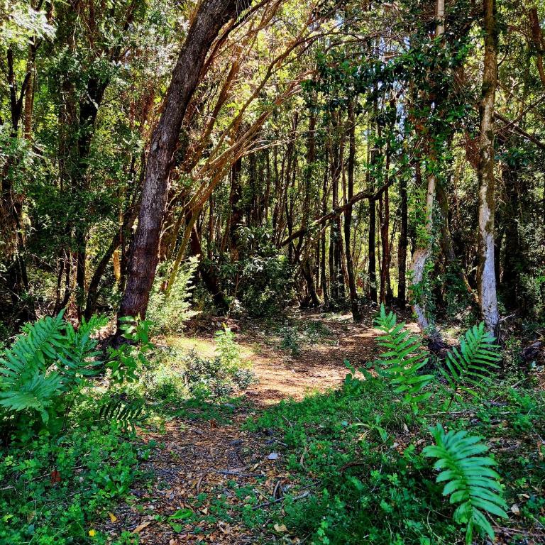Cabaña de Iza, Sector Ensenada, Puerto Varas - Two-Bedroom Chalet - 40