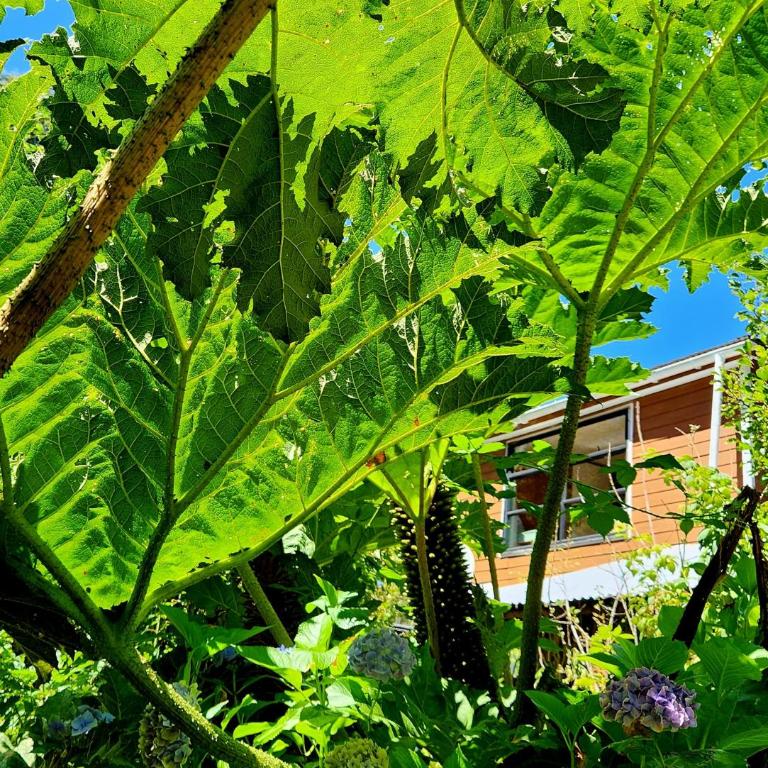 Cabaña de Iza, Sector Ensenada, Puerto Varas - Two-Bedroom Chalet - 39