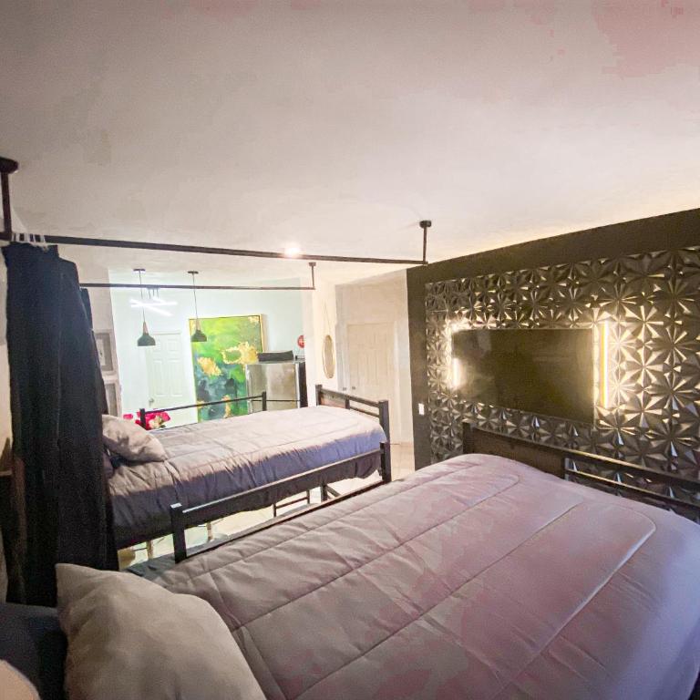 Baja Cabo Hostal Arenal - Habitación Compartida Femenina - 7
