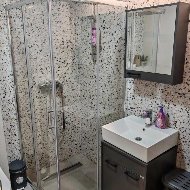 Apartman Amber Vrnjačka Banja - One-Bedroom Apartment - 4