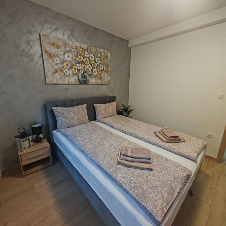Apartman Amber Vrnjačka Banja - One-Bedroom Apartment - 23