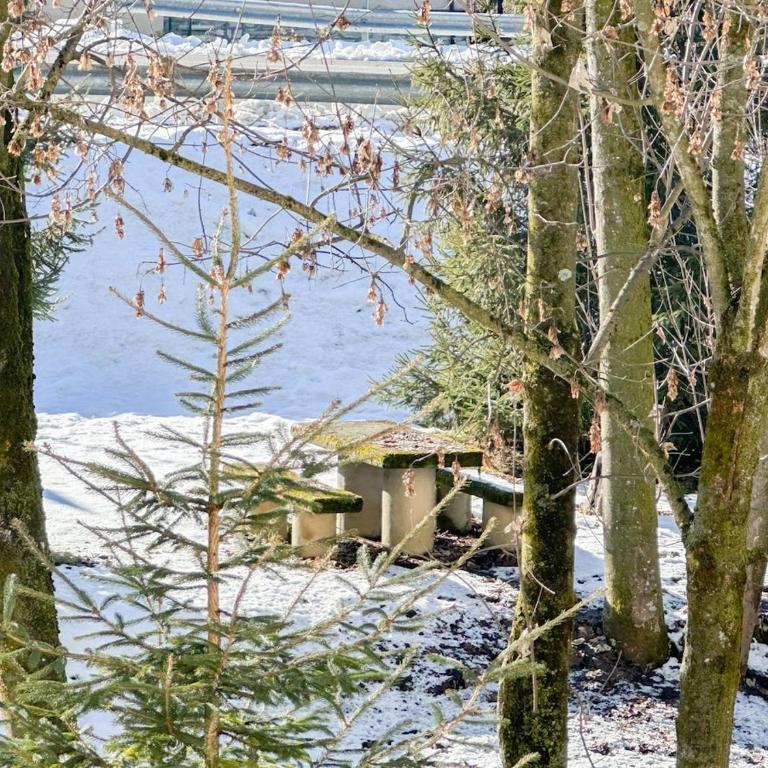Green Chalet - A due passi dalle Terme - Apartamento de 1 dormitorio - 10