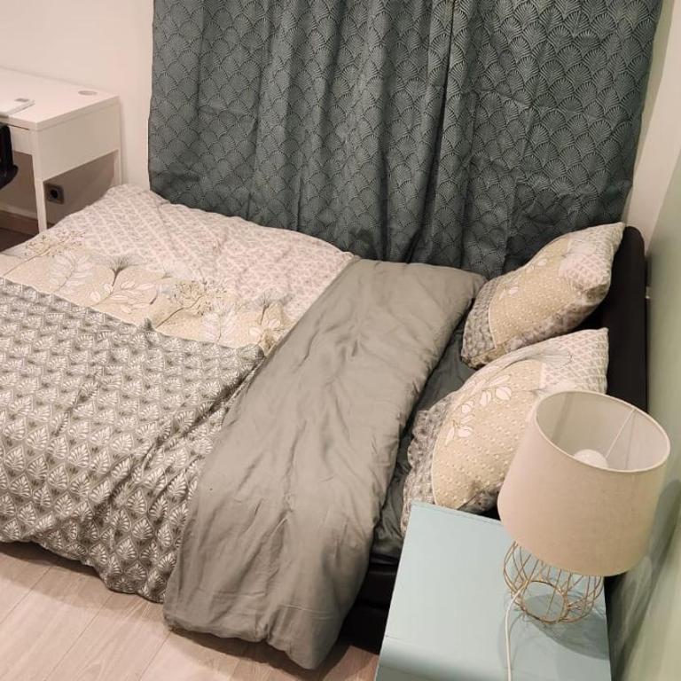 Albi Sweet Home - Maison 4 Chambres - 28