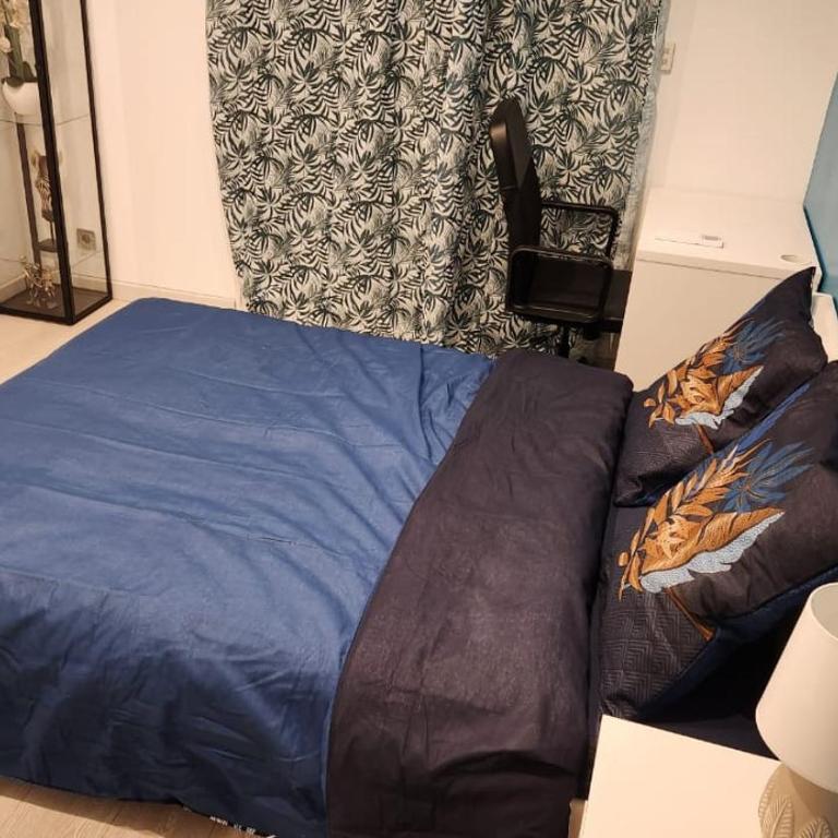 Albi Sweet Home - Maison 4 Chambres - 49
