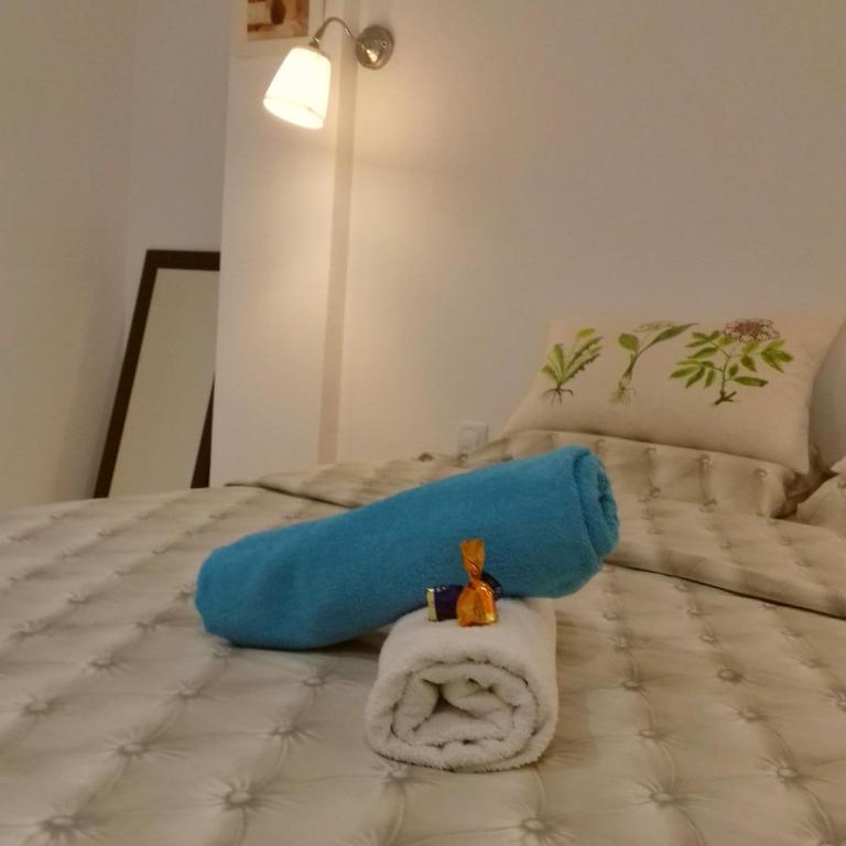 Apartment on Carrer del Dr. Lluch - Studio Apartment - 3