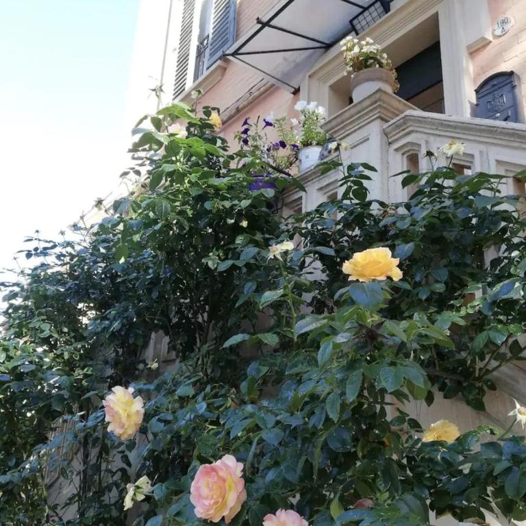 10 Min from the center - historic building - studio apartment - Vacation Home - 23