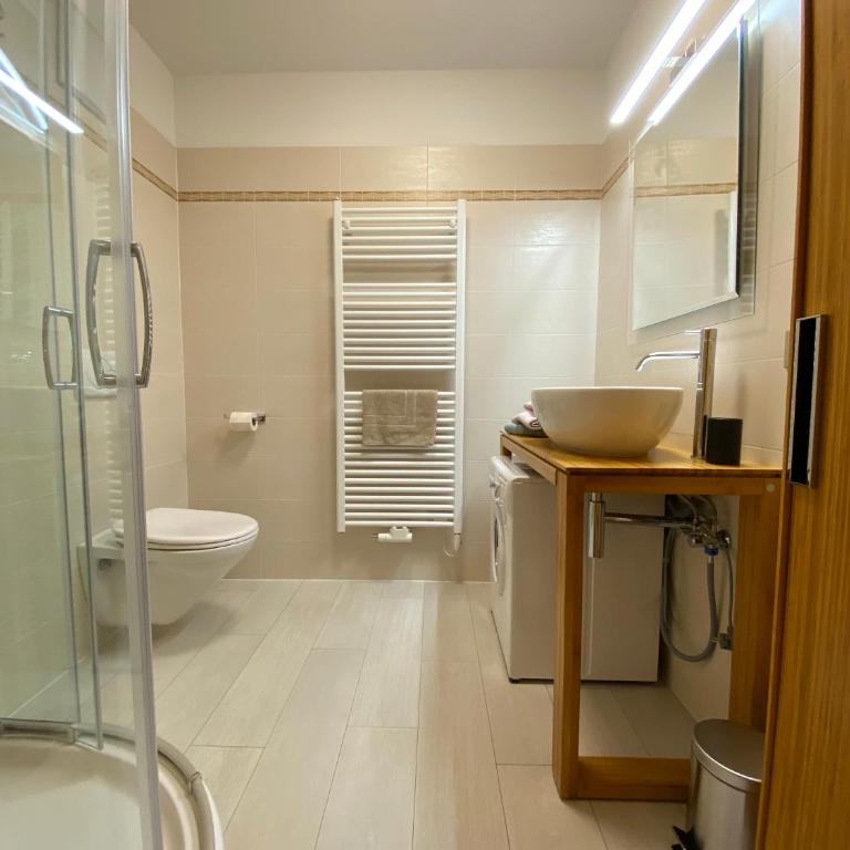 dolomites view apartment 2 - Appartamento con 2 Camere da Letto - 12