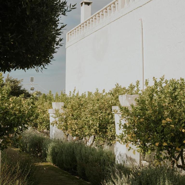 Masseria Mammella - Villa con Piscina Privata - 84