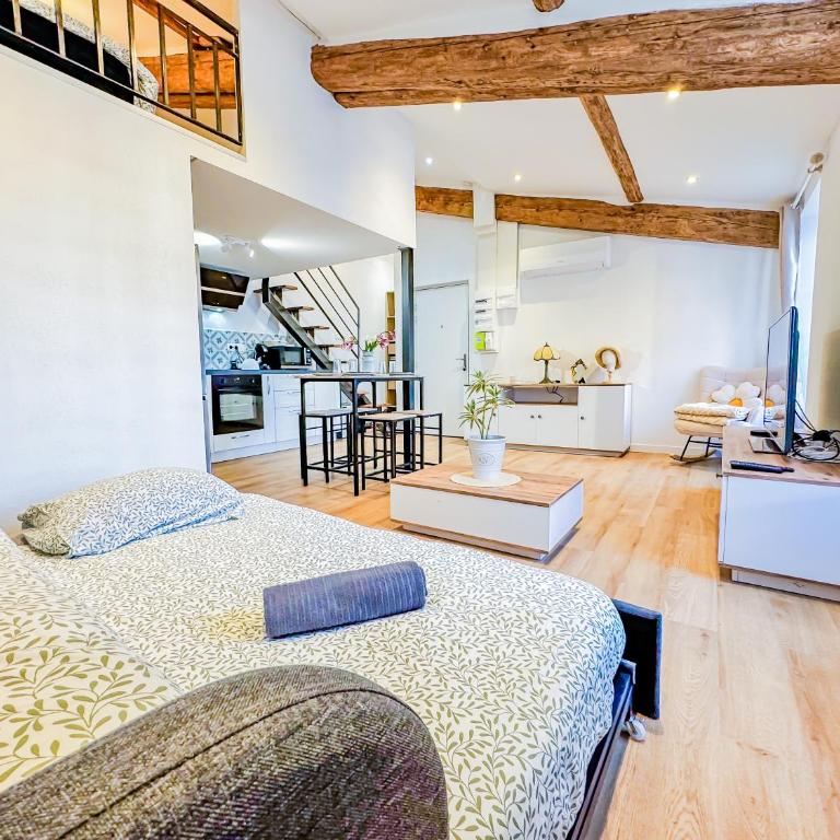 Duplex d exception au cœur de Clermont-Ferrand - Apartamento de 1 dormitorio - 1
