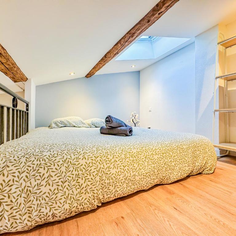 Duplex d exception au cœur de Clermont-Ferrand - Apartamento de 1 dormitorio - 9
