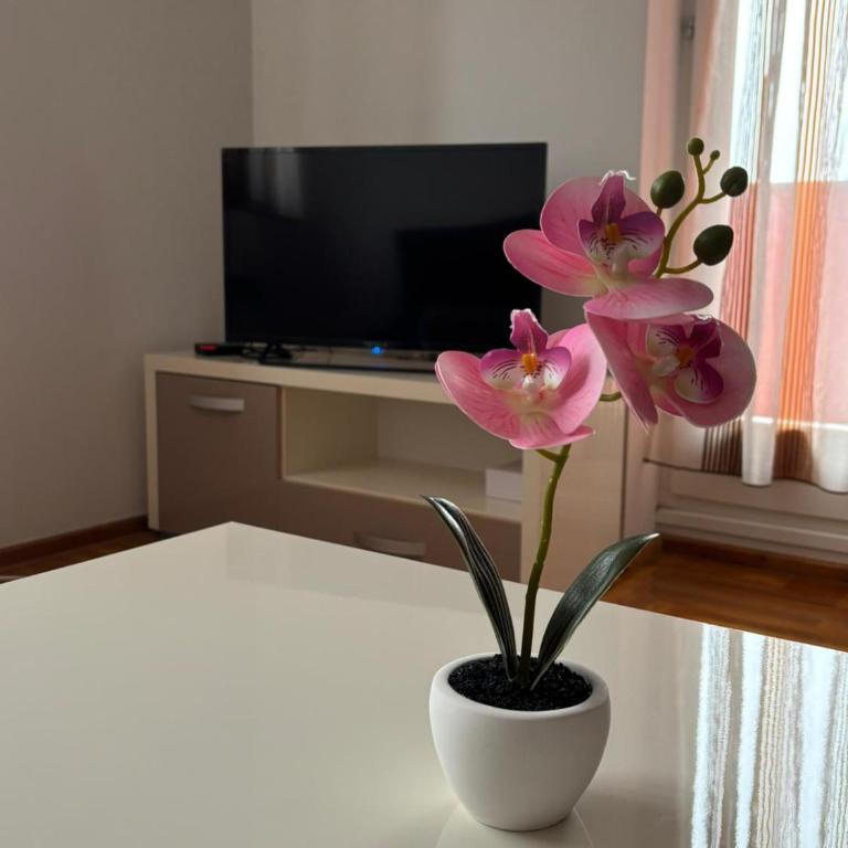 Apartman Pale centar - Two-Bedroom Apartment - 3