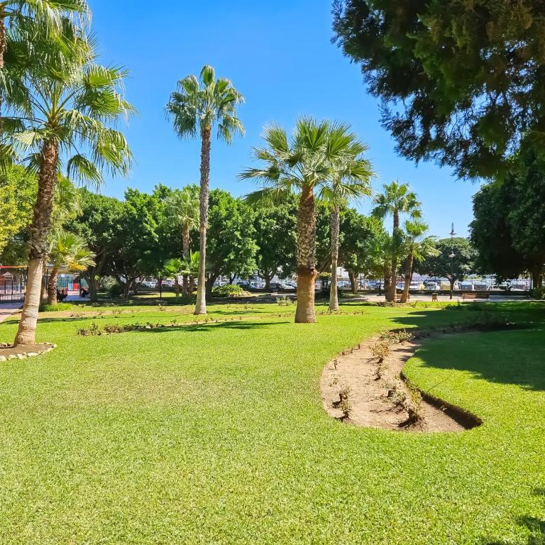Apartment in centre of La Cala, 200 metres from beach - Apartment - 37