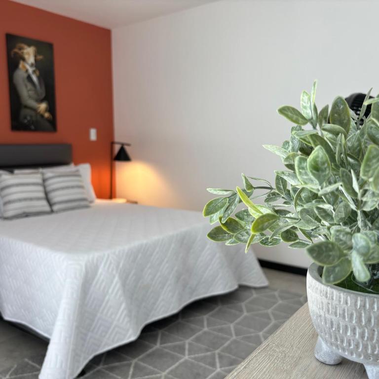 Apartamentos Virginia 34 en Buenos Aires, Medellín - Estudio Doble Deluxe - 7