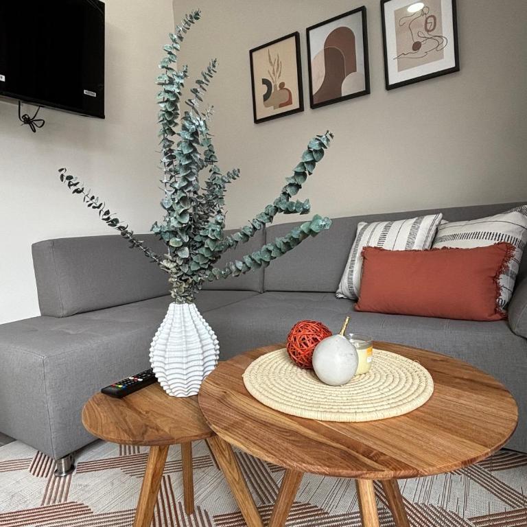 Apartamentos Virginia 34 en Buenos Aires, Medellín - Estudio Triple Estándar - 4