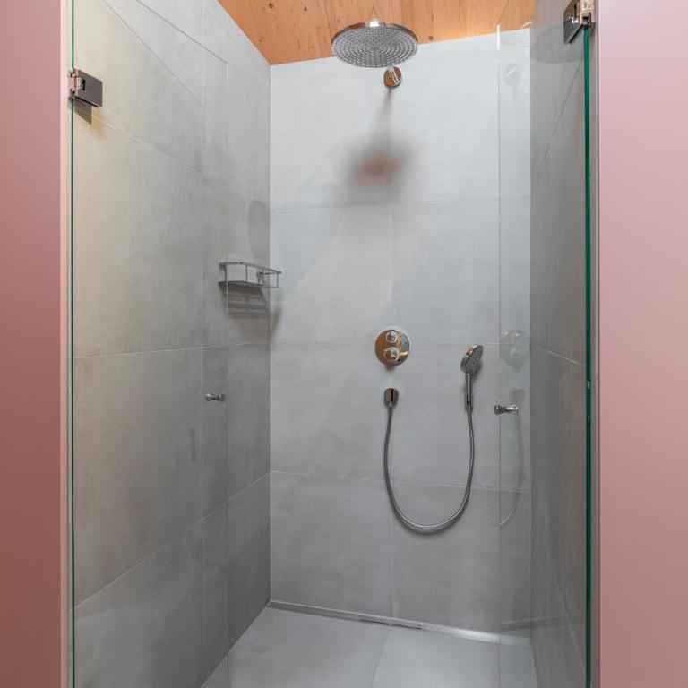 SCHILCHERLANDLEBEN - Hochgrail - Penthouse-Apartment - 15