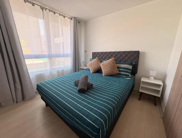 Alameda I Terminal de Buses I Metro San Alberto Hurtado - One-Bedroom Apartment - 12