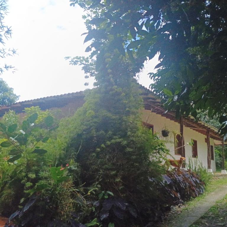 ecopolis birds lodge - Four-Bedroom House - 1