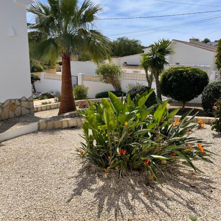 Villa in Moraira - El Farò - Villa with Private Pool - 10