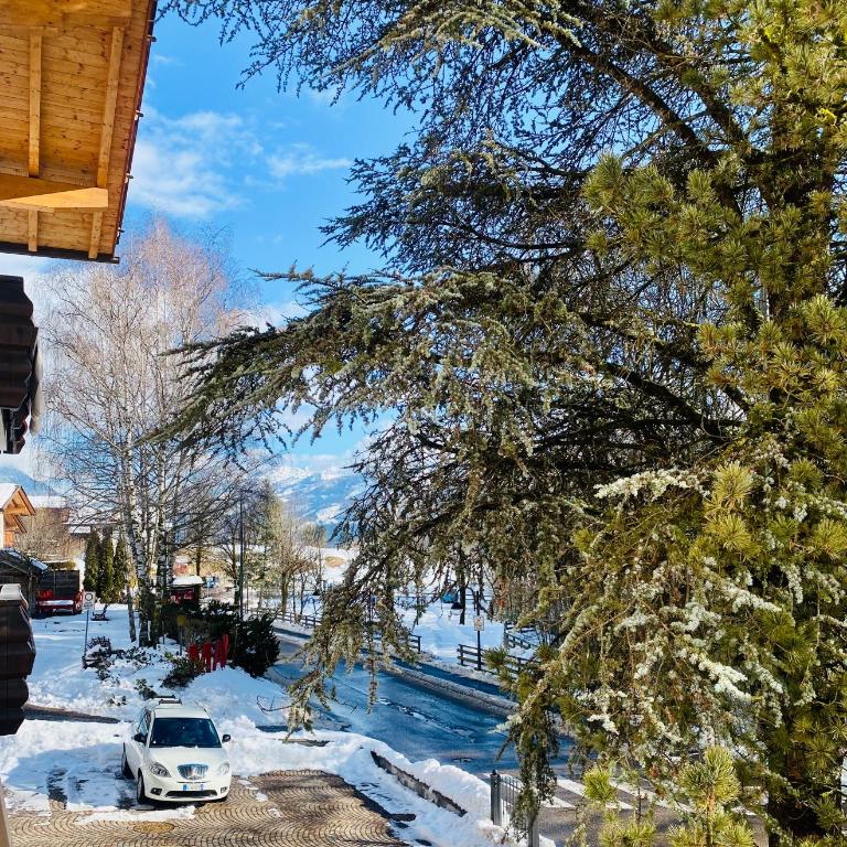 Zirmo mountain home - Apartment mit 3 Schlafzimmern - 19