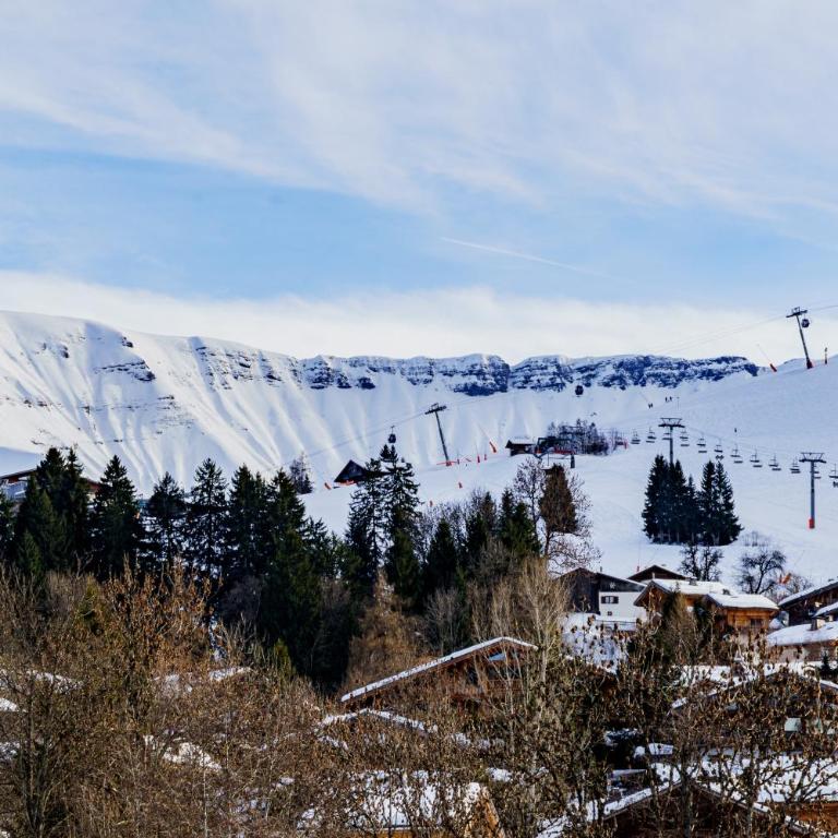 Alpine Mood - Proche des pistes et Centre ville - Studio Deluxe - 7