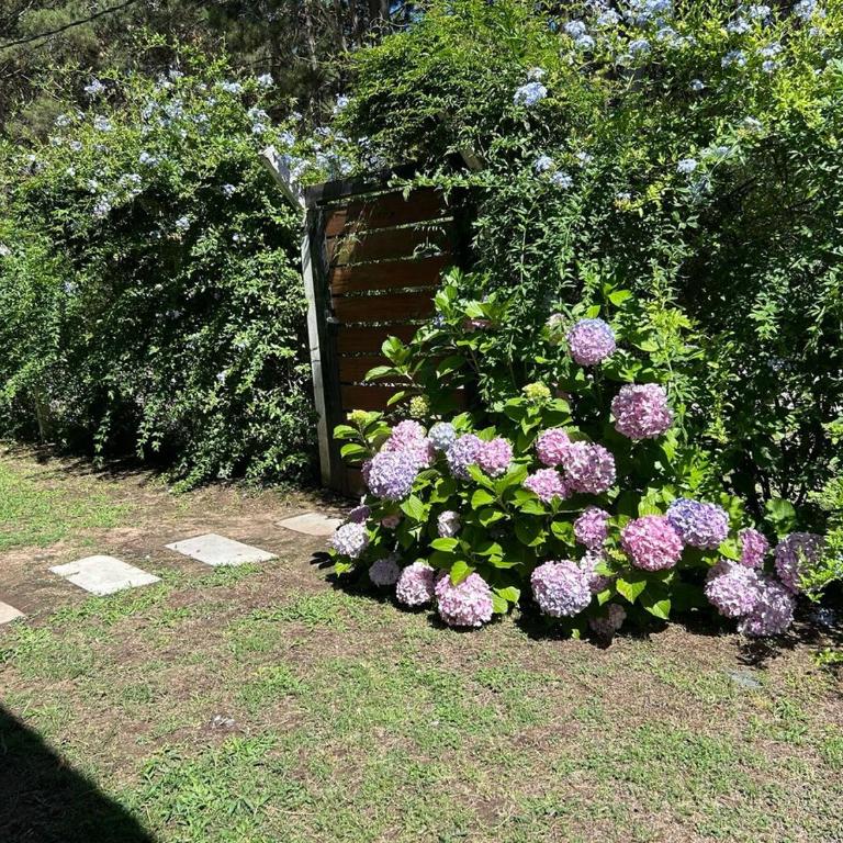 Aroma del bosque a cuadras de la playa - Apartamento de 1 dormitorio - 11