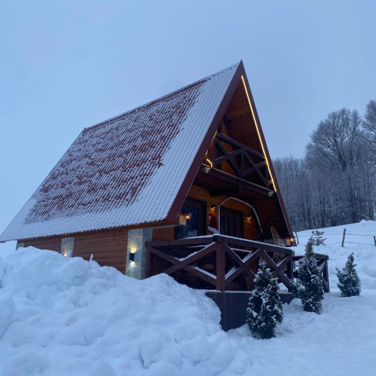 Mountain house Drveni Raj - Two-Bedroom House - 2