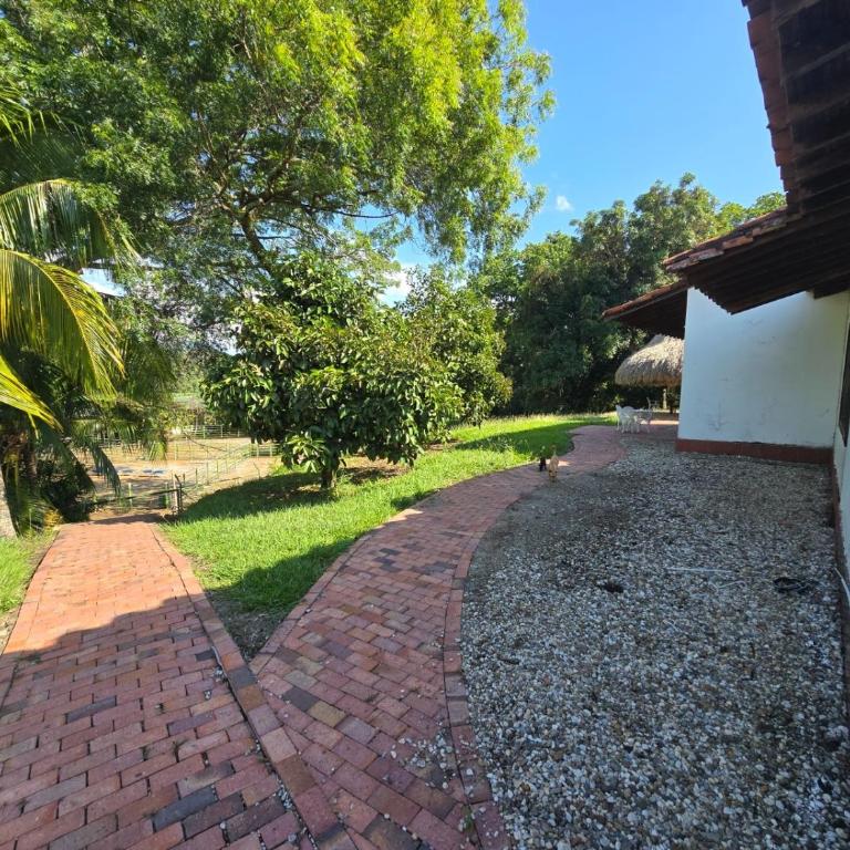 Un lugar para descansar y divertirse al aire libre - One-Bedroom Villa - 34