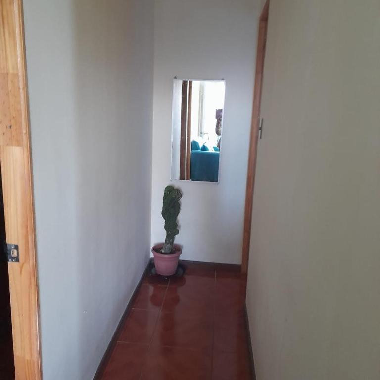 Cabaña Interior Pichidangui - One-Bedroom Apartment - 6
