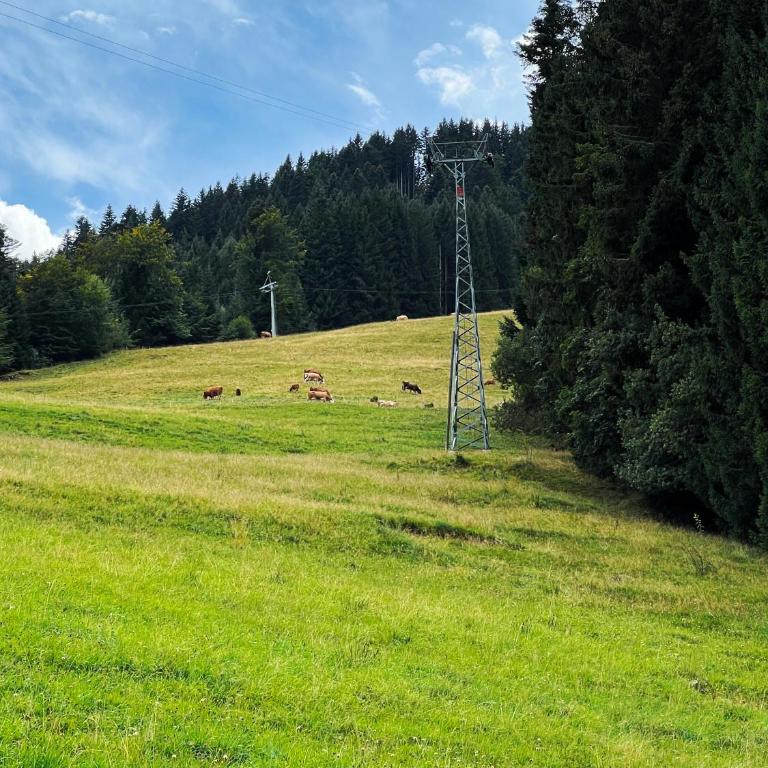 Mountain Apartment in Torgon - Refuge du Souffle Alpin - Apartment mit 1 Schlafzimmer - 26