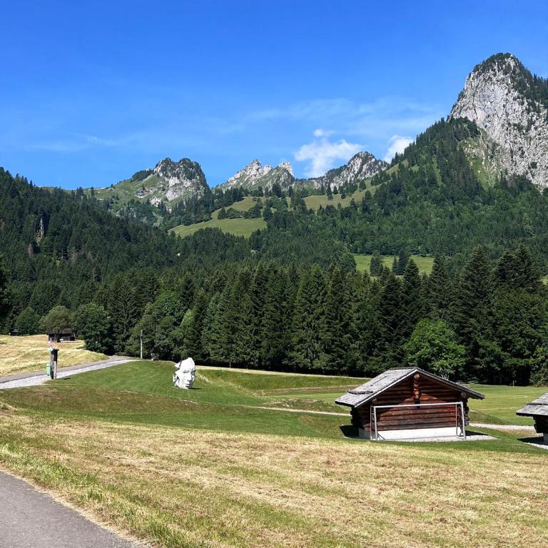 Mountain Apartment in Torgon - Refuge du Souffle Alpin - Apartment mit 1 Schlafzimmer - 33