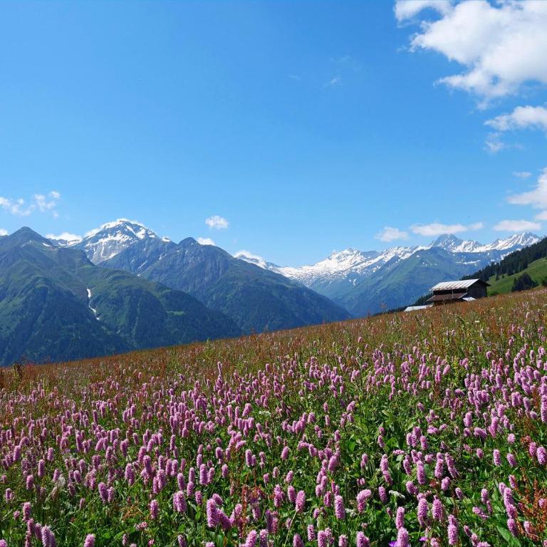 Mountain Apartment in Torgon - Refuge du Souffle Alpin - Apartment mit 1 Schlafzimmer - 38