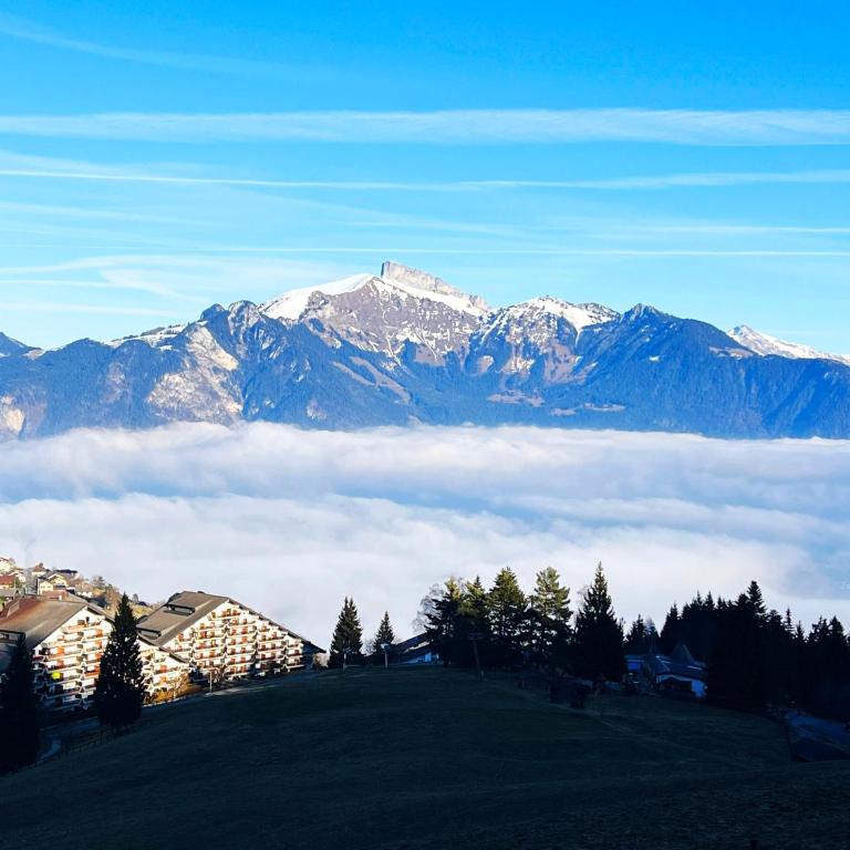 Mountain Apartment in Torgon - Refuge du Souffle Alpin - Apartment mit 1 Schlafzimmer - 41