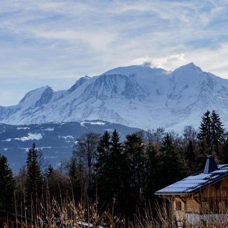 Chalet Panorama - Chalet - 1