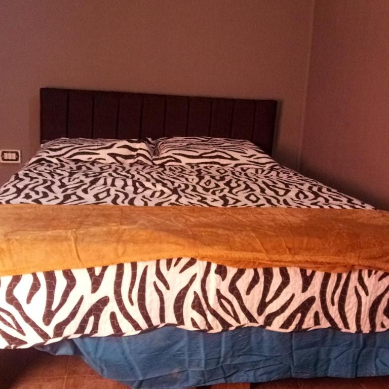 Departamentos S&L Quintero - Two-Bedroom Apartment - 2