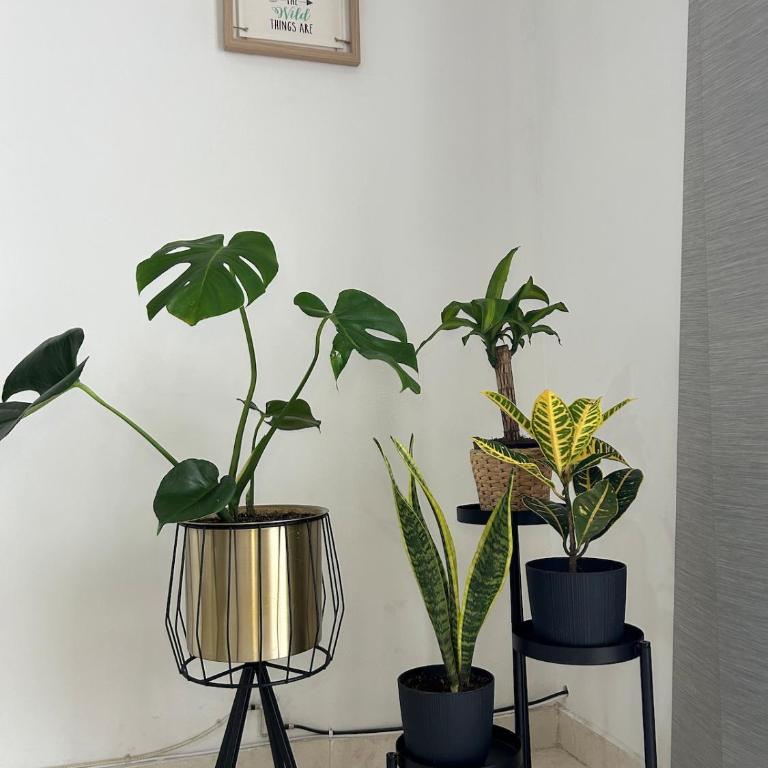 Apartamento moderno con Balcón y Hamaca 3BR Los Patios - Apartamento de 3 dormitorios - 33