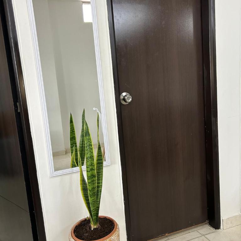 Apartamento moderno con Balcón y Hamaca 3BR Los Patios - Apartamento de 3 dormitorios - 43