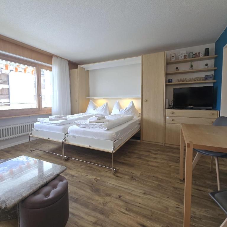 Panorama 20, Grosses Studio, Nahe Ski-Pisten, Parkplatz - Apartment mit 1 Schlafzimmer - 24