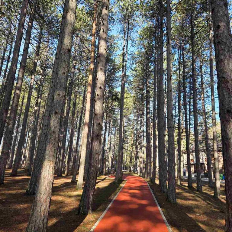 Zlatibor - One-Bedroom Apartment - 16
