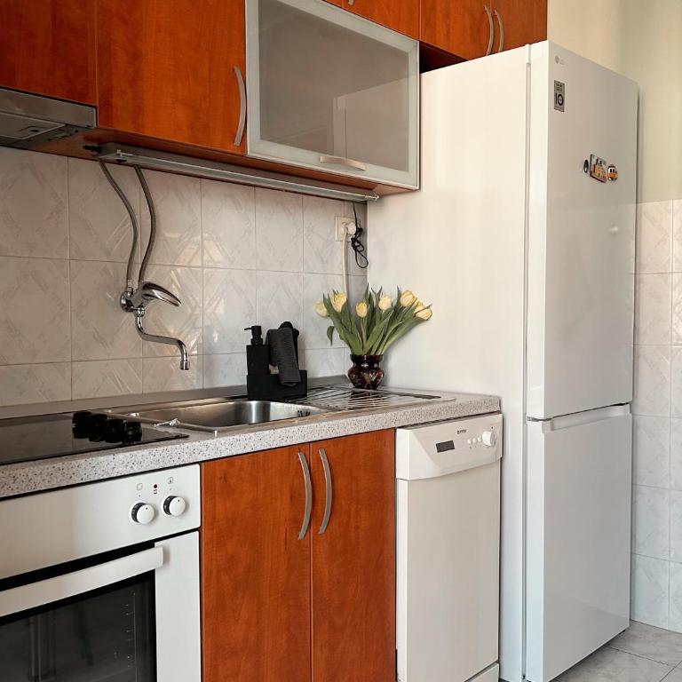 Sunny Antique Stay - Near Fortress - Apartman sa 1 Spavaćom Sobom - 13