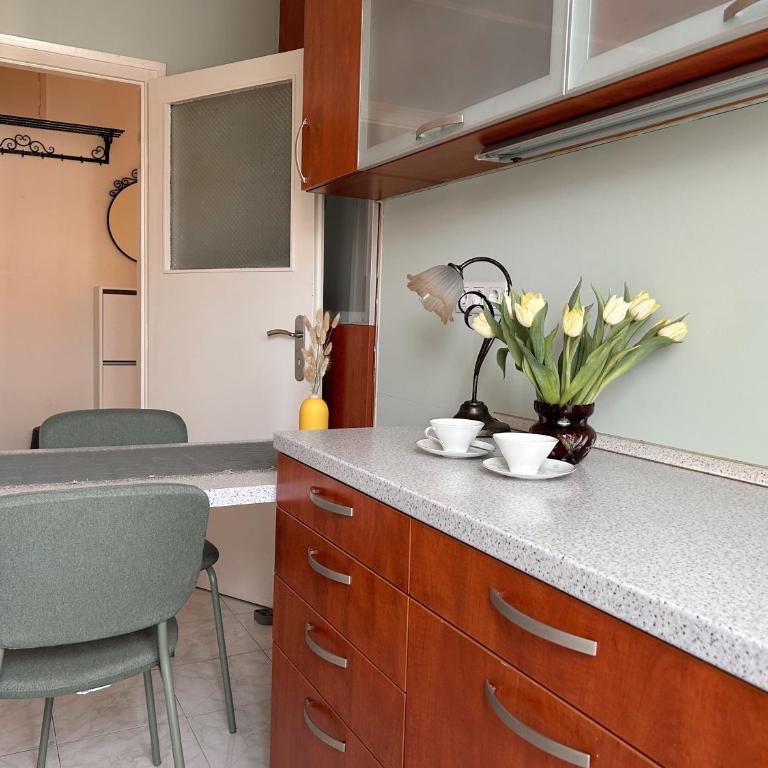 Sunny Antique Stay - Near Fortress - Apartman sa 1 Spavaćom Sobom - 23