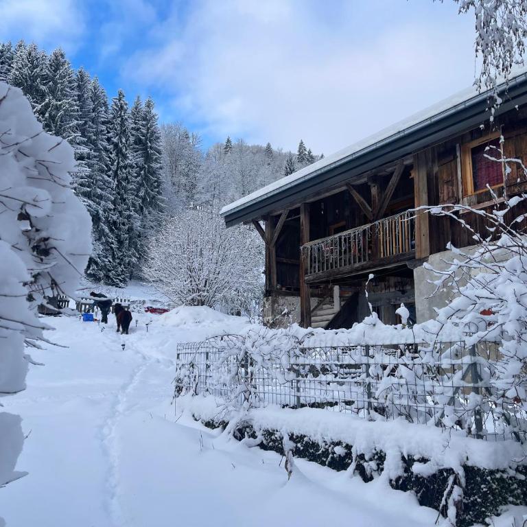 Le Chalet de Bémont - Maison 3 Chambres - 22