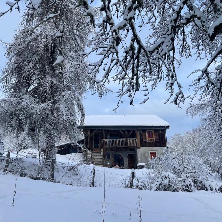 Le Chalet de Bémont - Maison 3 Chambres - 27
