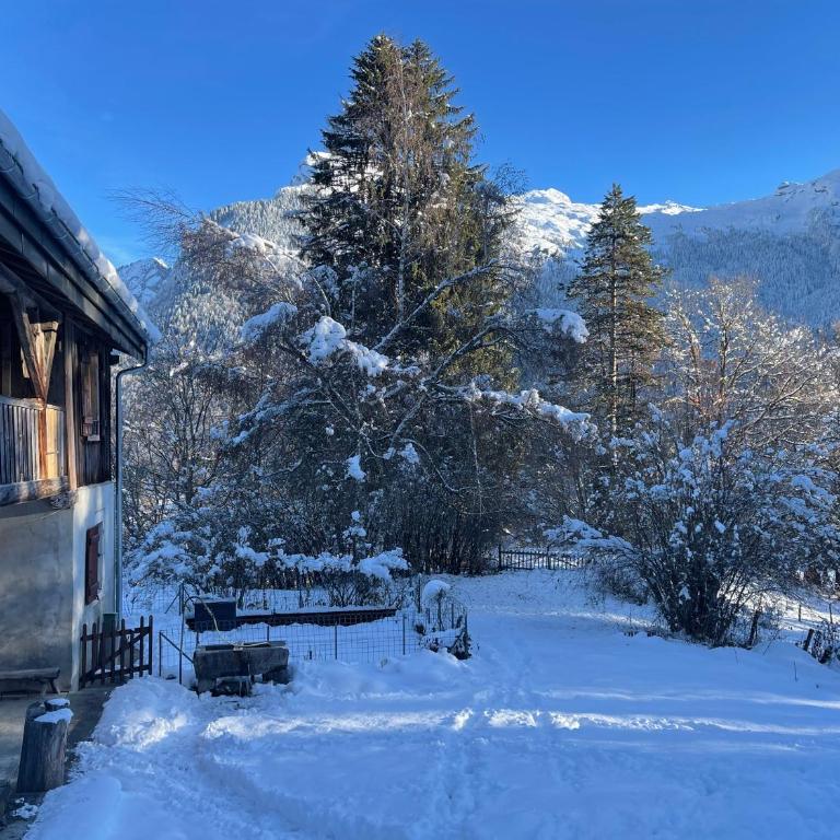 Le Chalet de Bémont - Maison 3 Chambres - 25