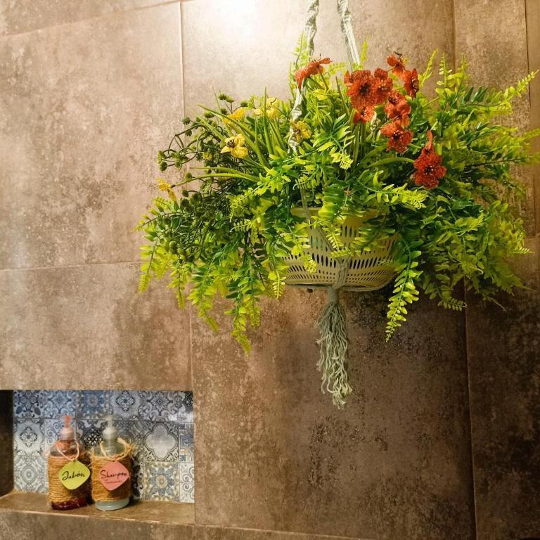 Estudios con Alberca-Cocina Privadas en Zona Norte - Studio with Pool View - 30